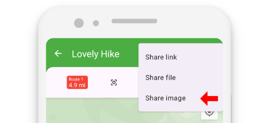 Share Image from Map View